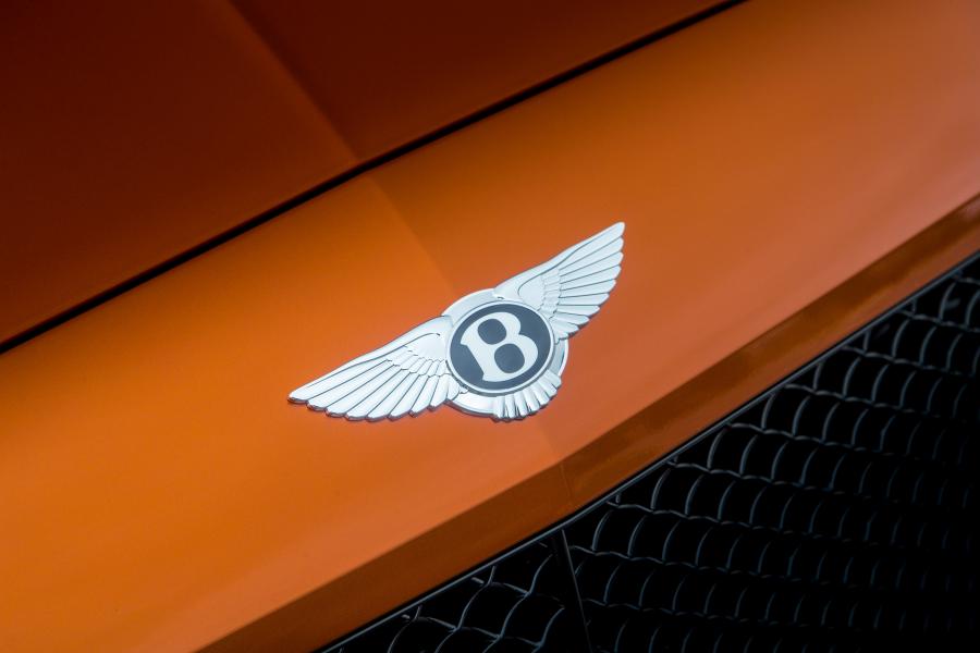 Логотип Bentley Continental Supersports Convertible 2017 года  (WW) (фото 19 из 43)